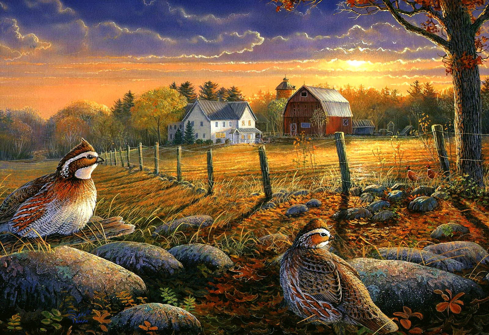 Relax And Reconnect With Nature - Enjoy The Splendor Of Fall On A Farm Background