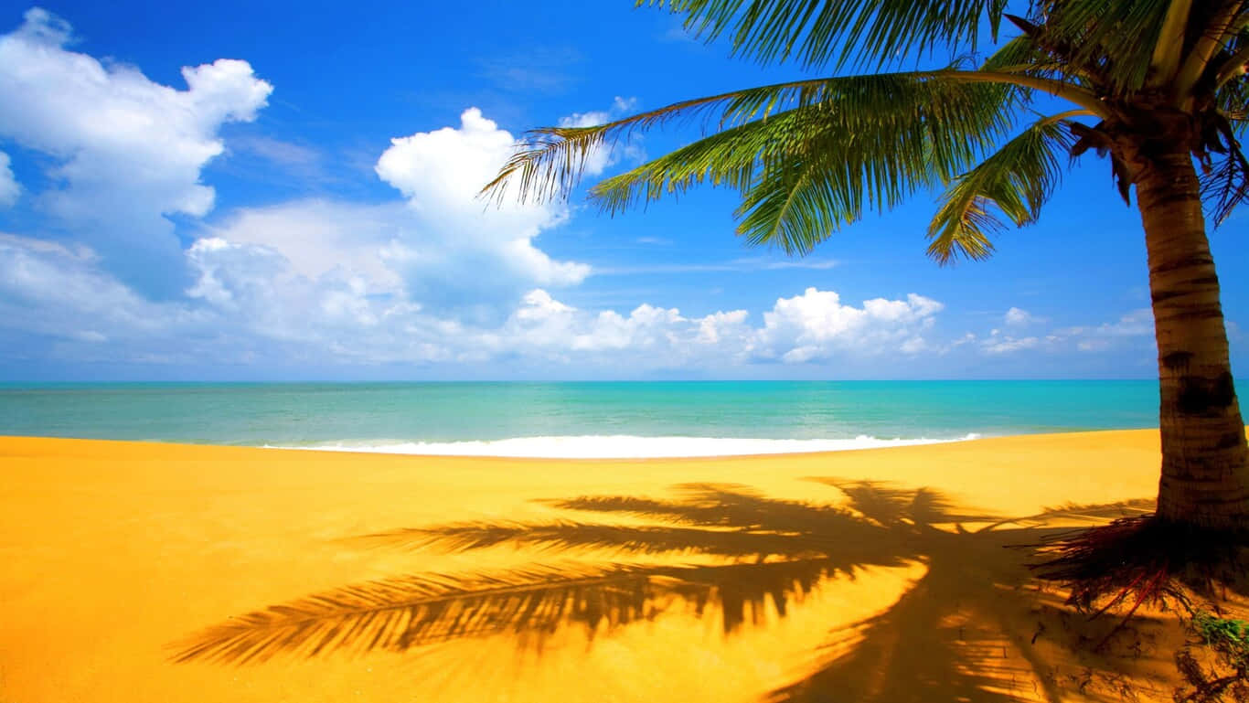 Relax And Unwind On A Beautiful Beach Day Background