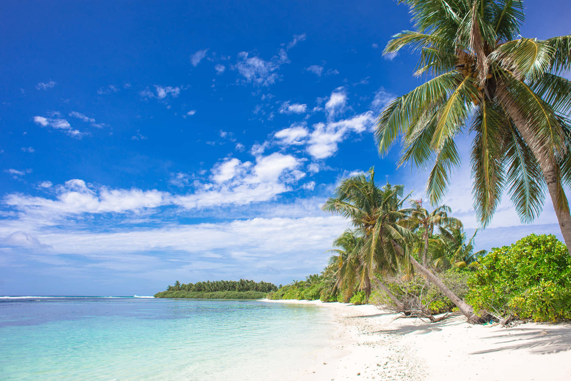 Relax And Unwind On A Tropical Island Background