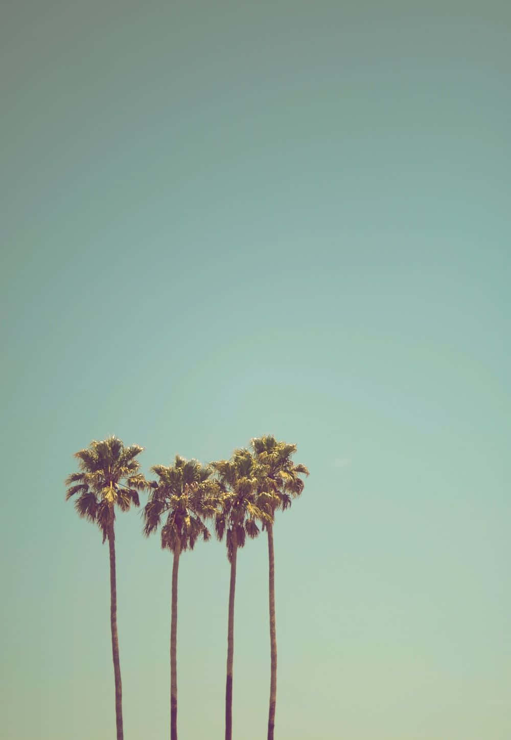 Relax And Unwind With Sun And Sand Background