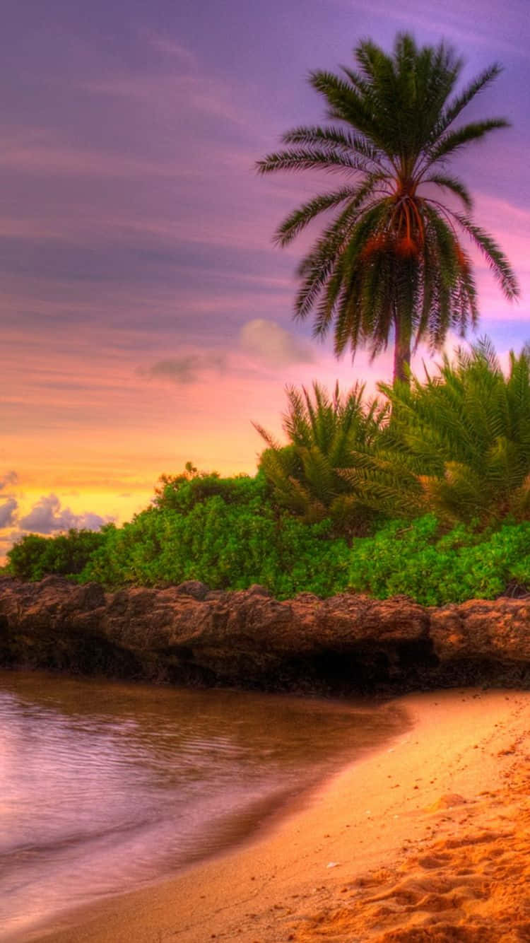 Relax At The Beach With Your Iphone Background