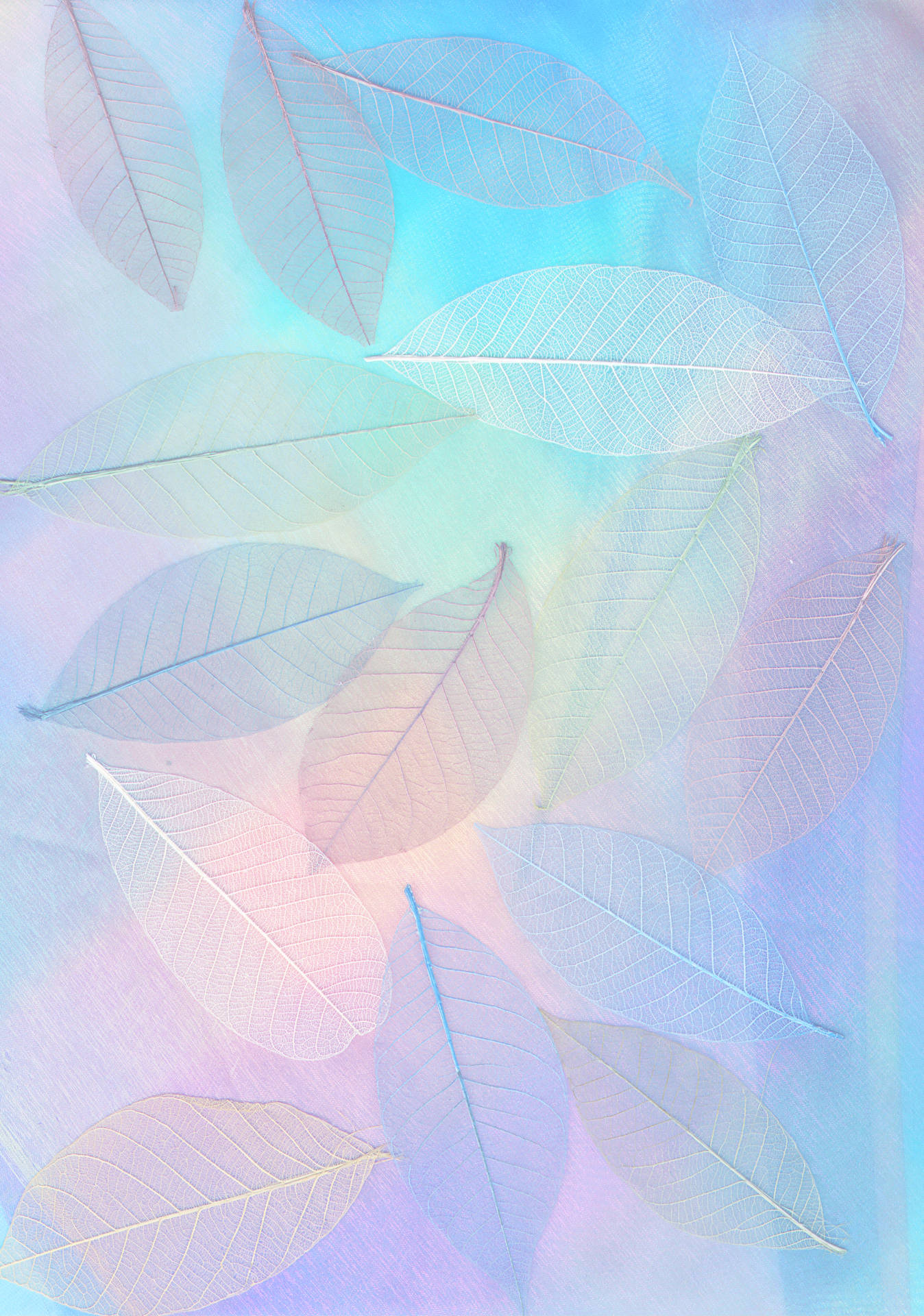 Relax In Serene Pastel Teal Background