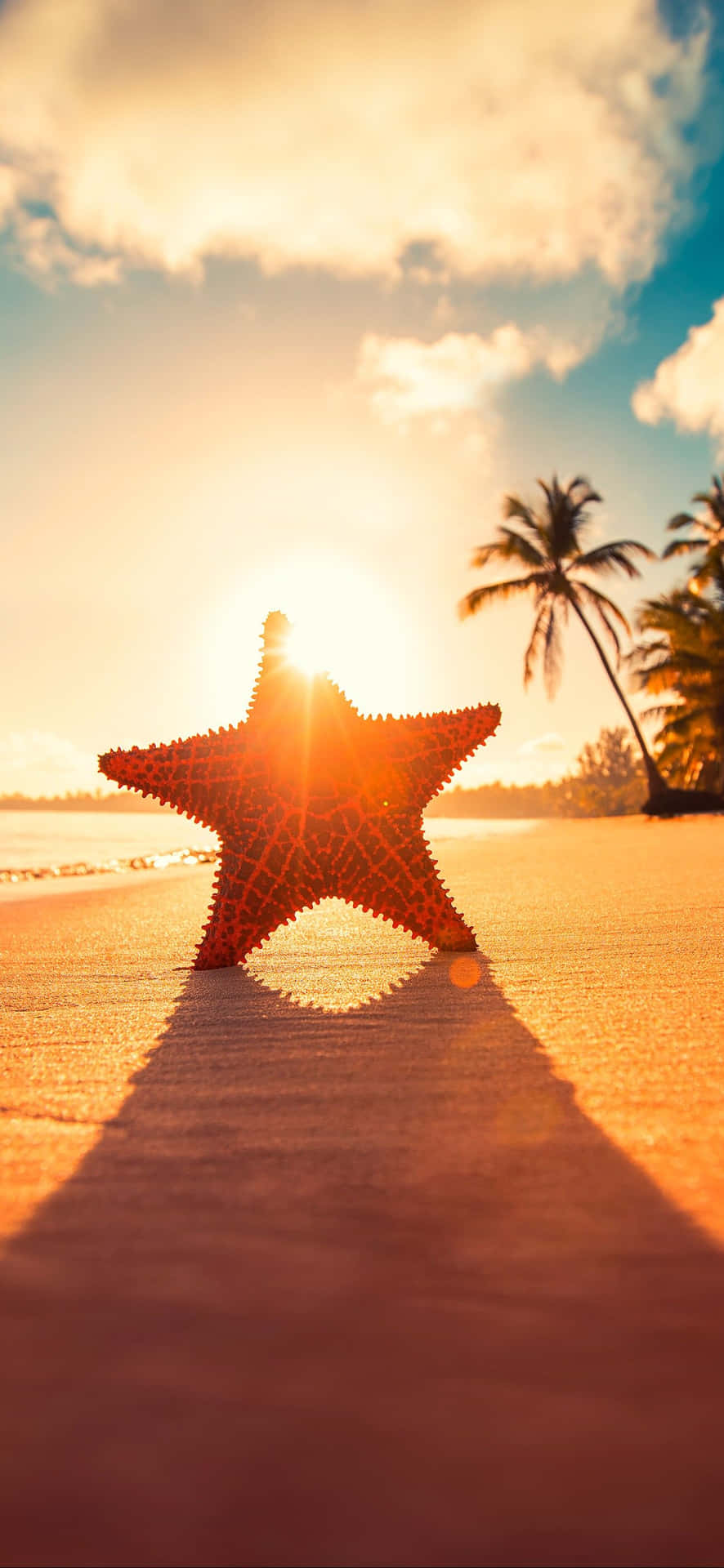 Relax On A Sunny Beach With Your New Iphone Background