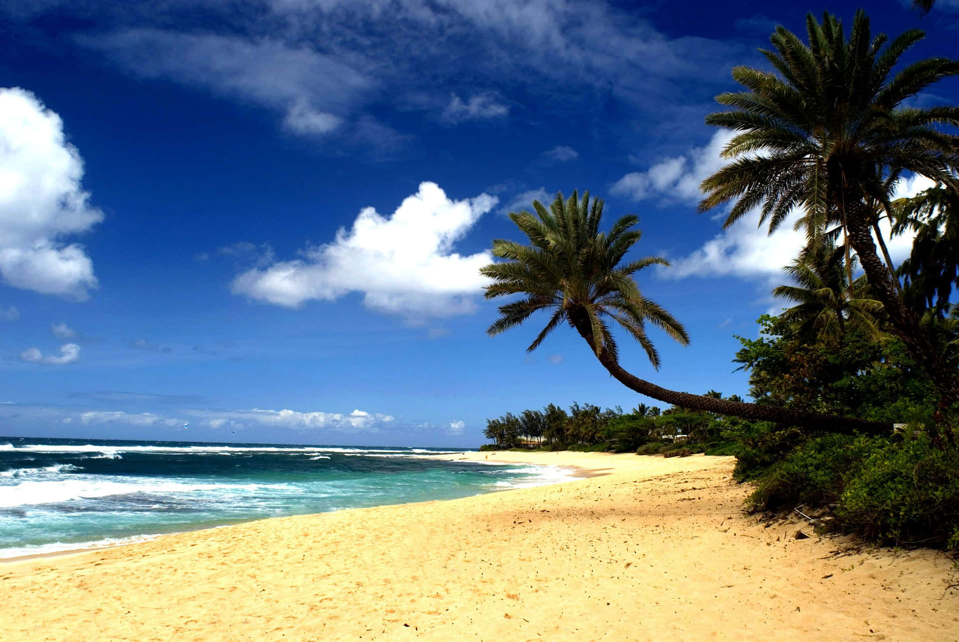 Relax On The Sandy Beaches Of Hawaii And Feel Tropical Sun Rays Warming Your Skin.