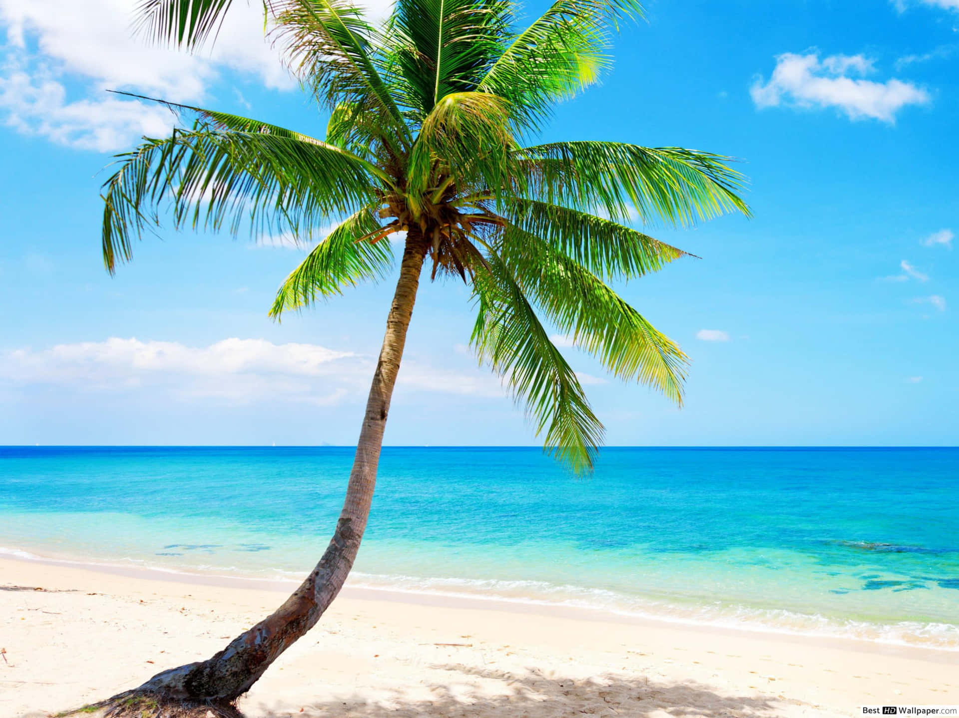 Relax On The Serene Beach Of Paradise