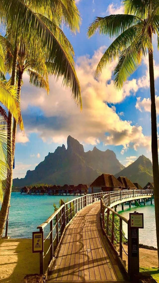Relaxation And Beauty Await In Bora Bora. Background