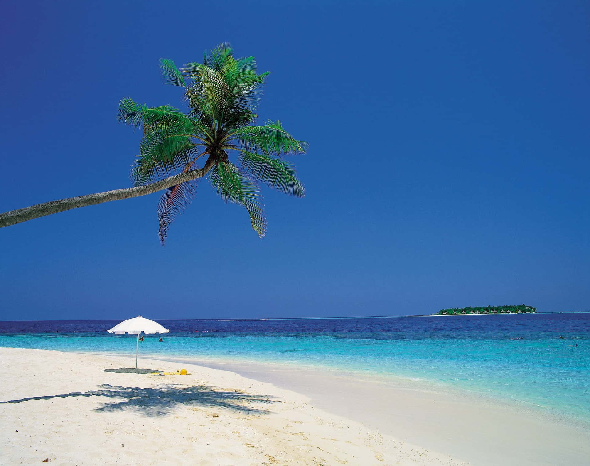 Relaxation Time At Cute Summer Beach Background