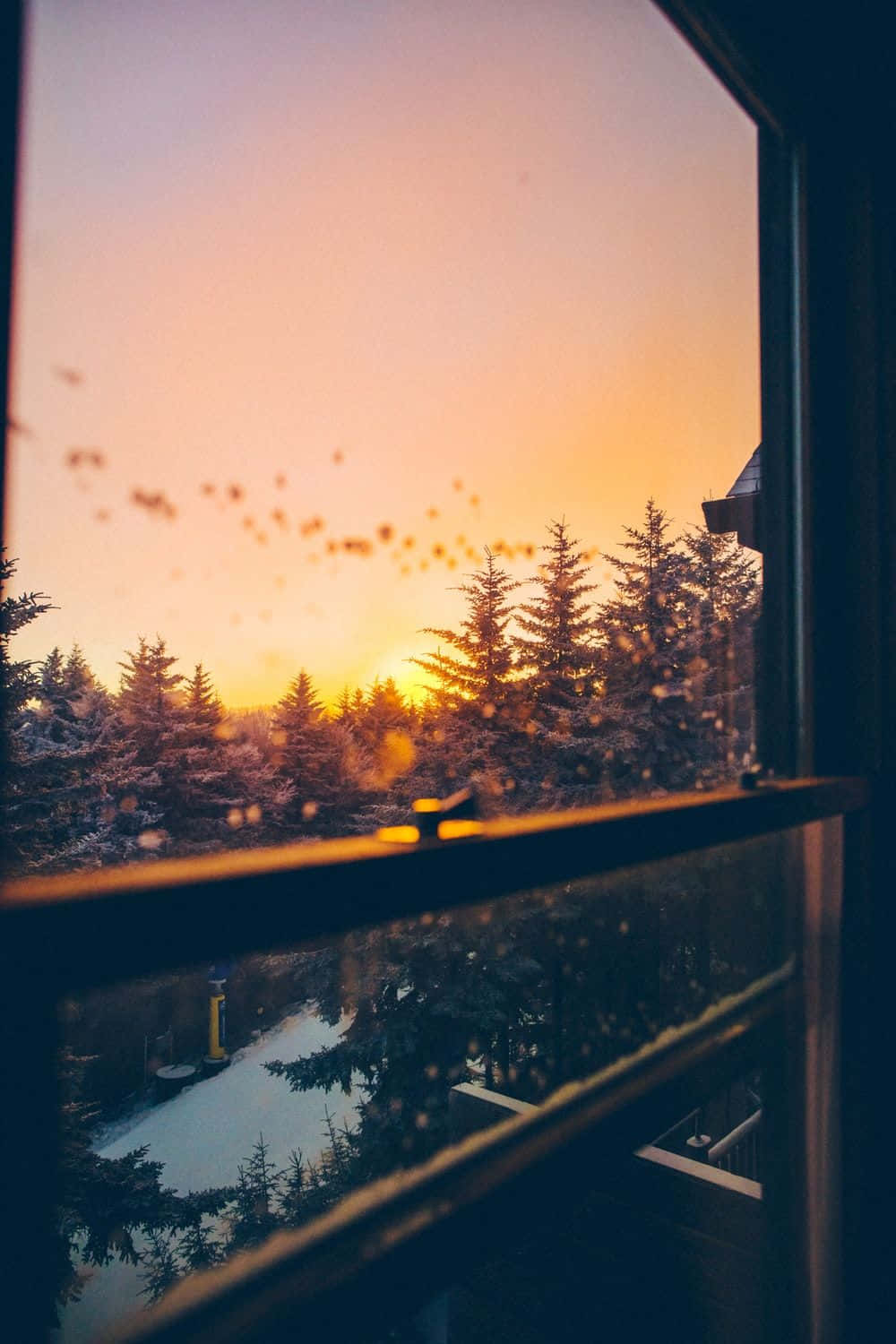 Relaxed At Home With Your Cozy Iphone Background