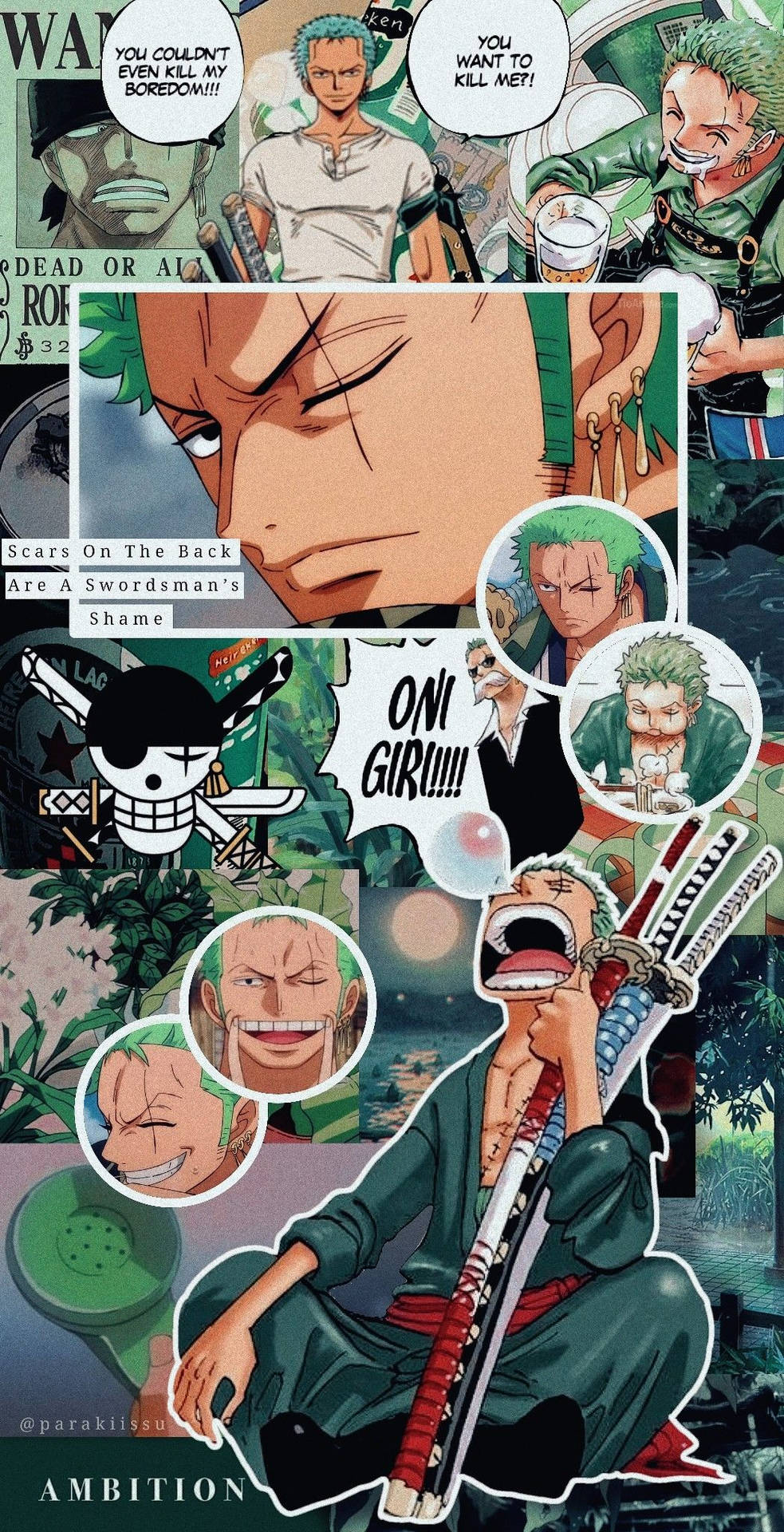 Relaxed Zoro One Piece Aesthetic Background