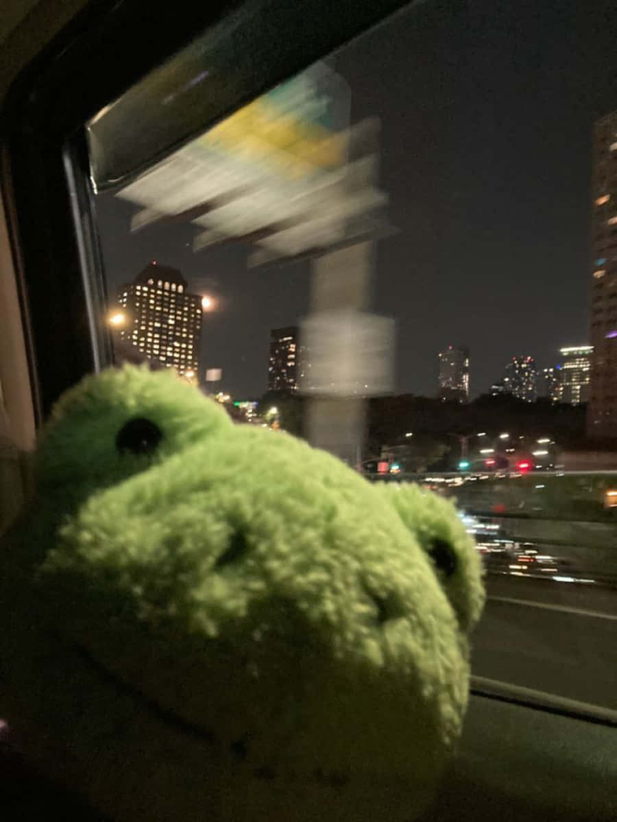 Relaxing Aesthetic Frog In Nature Background