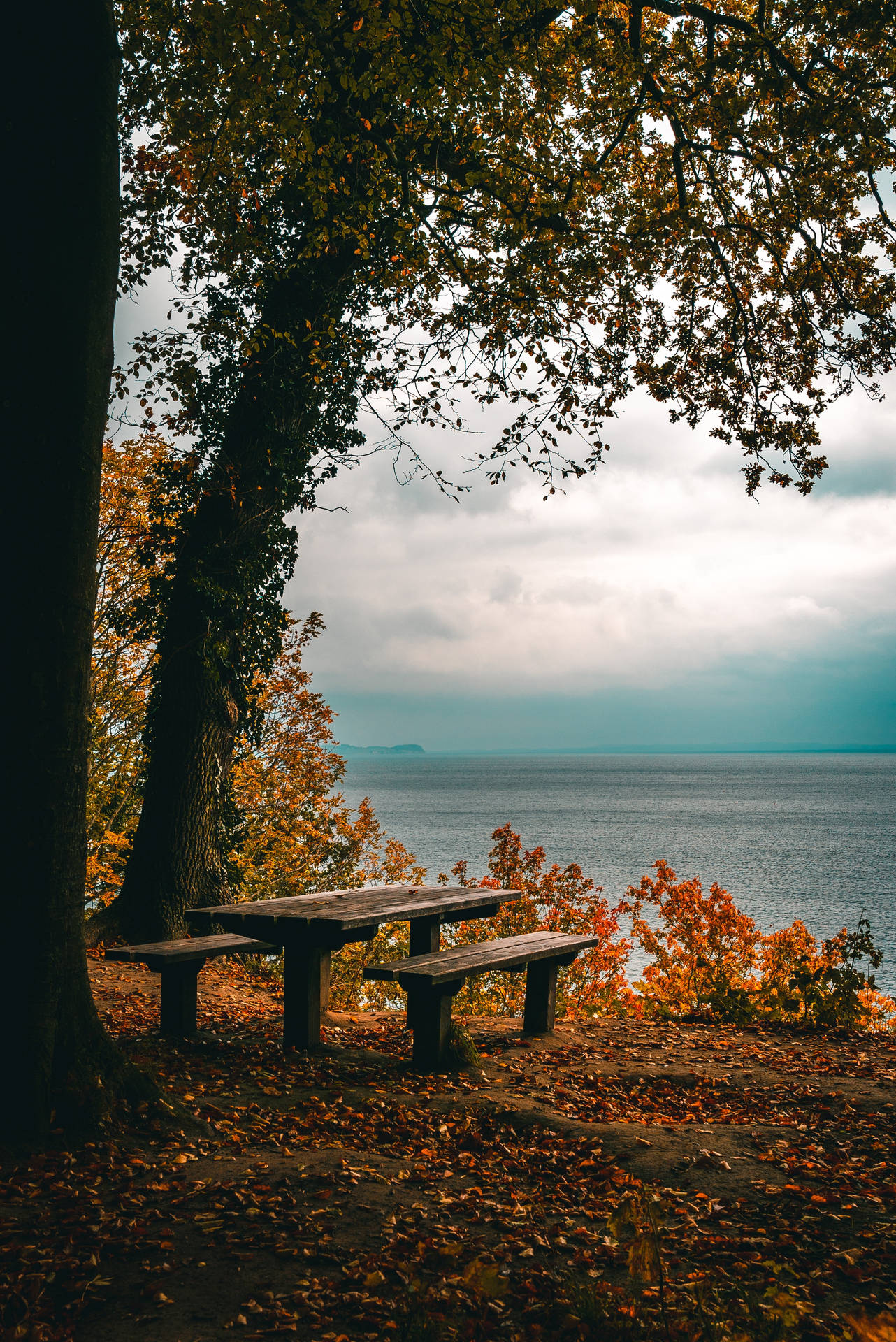 Relaxing Bench Spot Background