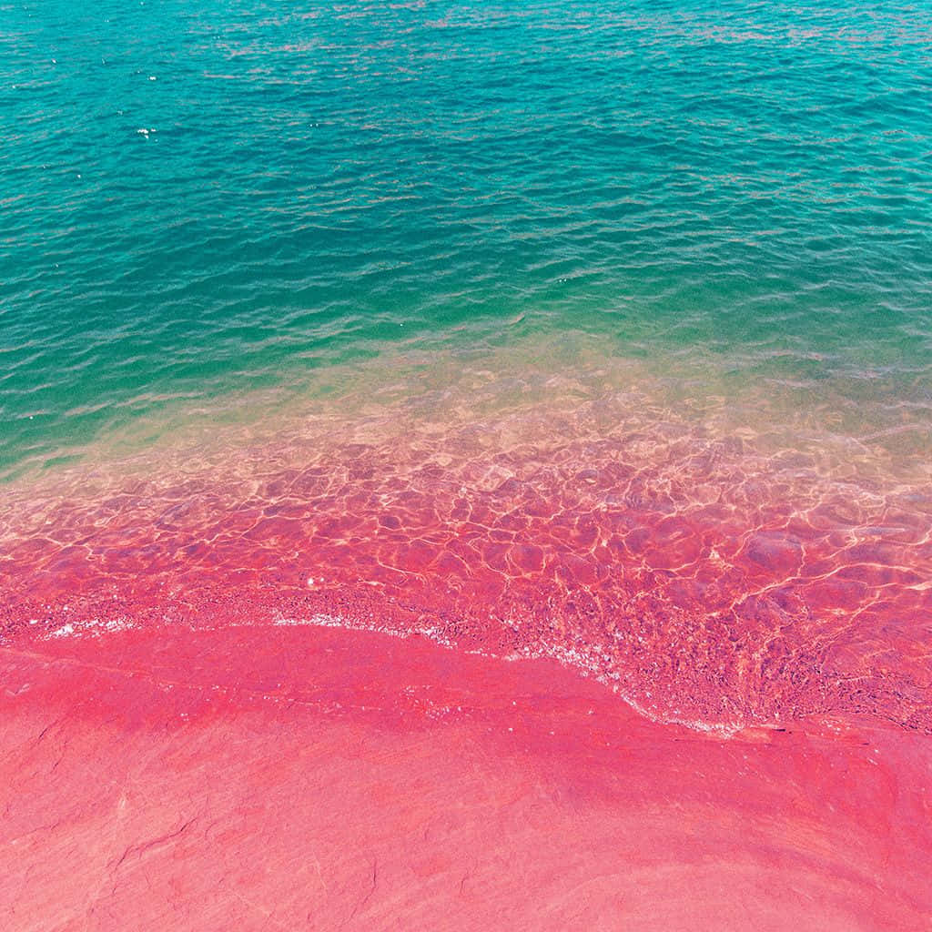 Relaxing During The Summer At The Beach With Your Phone.