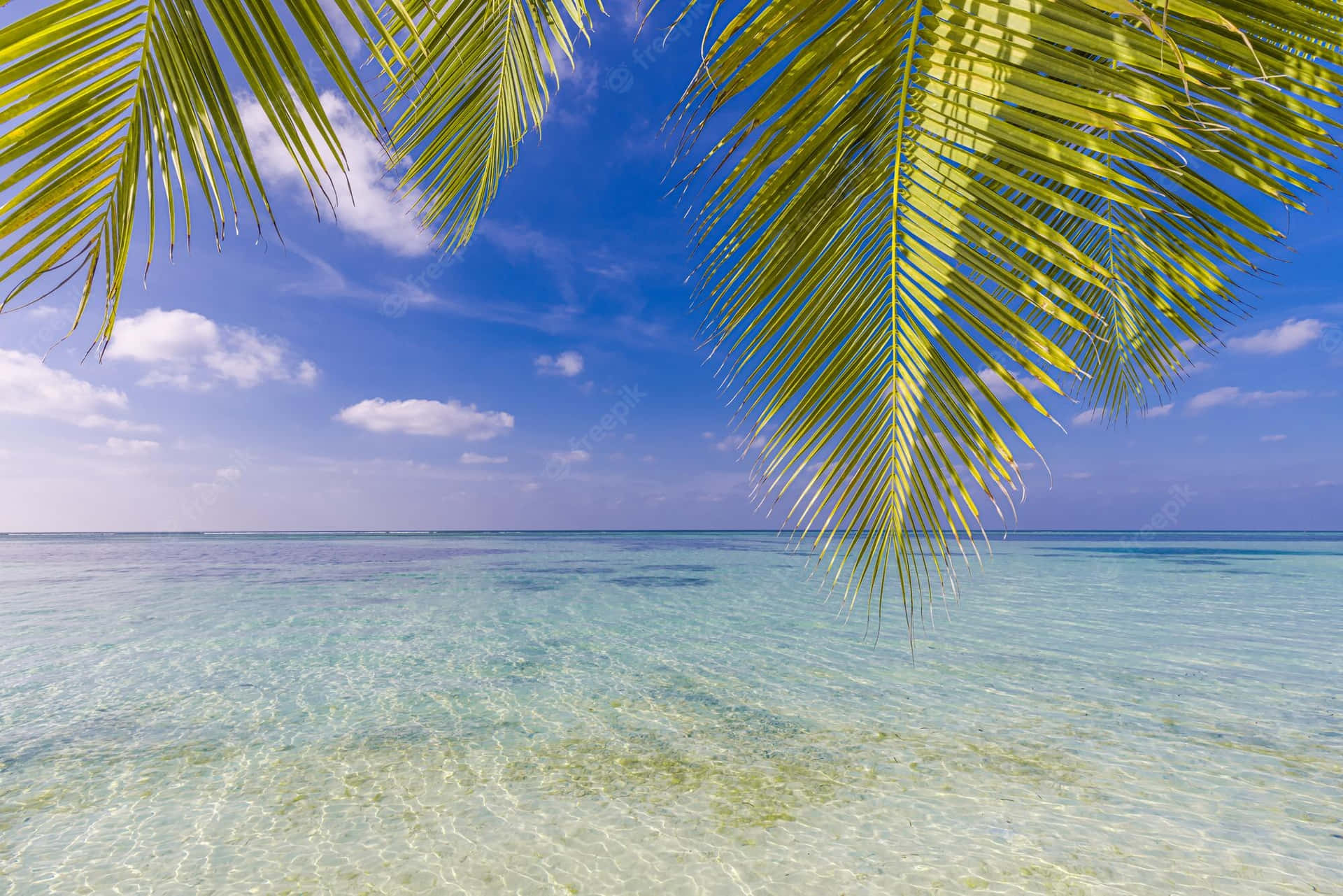 Relaxing In Paradise