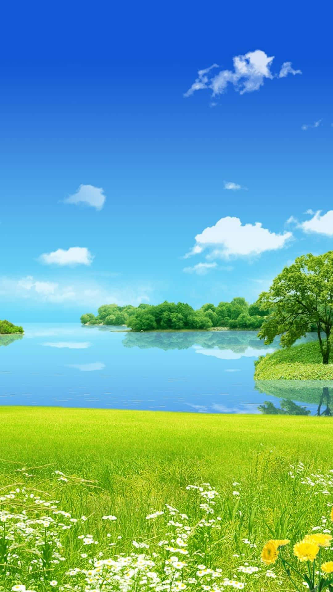 Relaxing Meadow Nature Android Hd Background