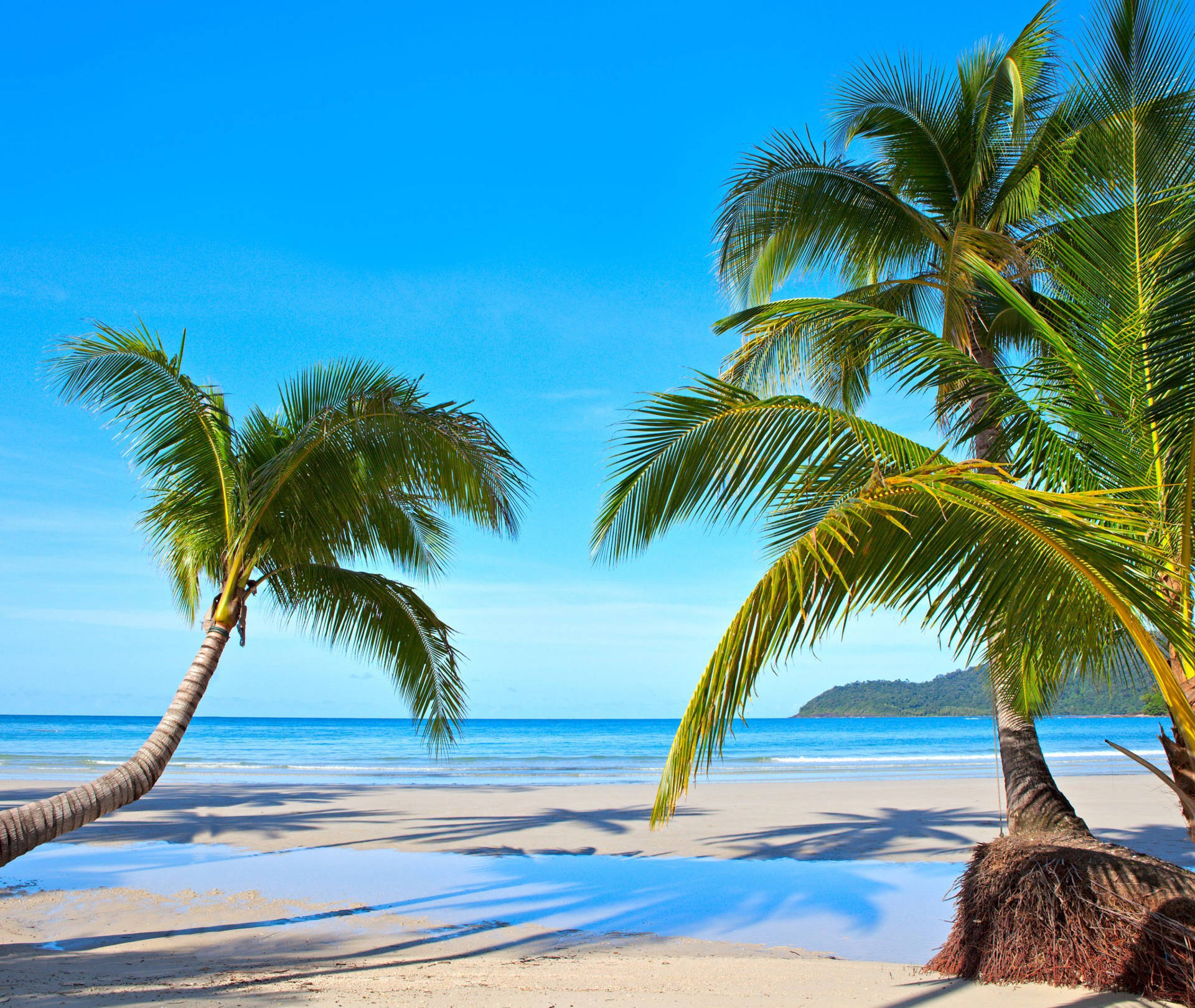 Relaxing Solomon Islands Beach Background