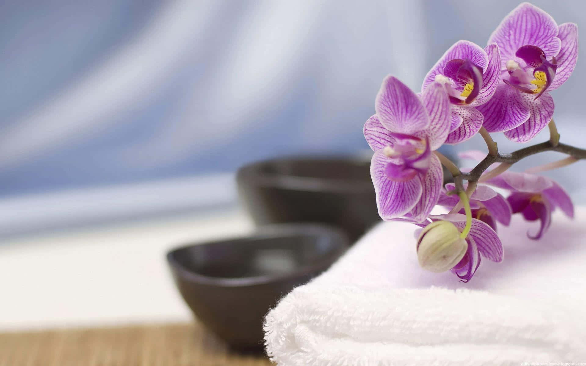 Relaxing Spa Settingwith Orchids