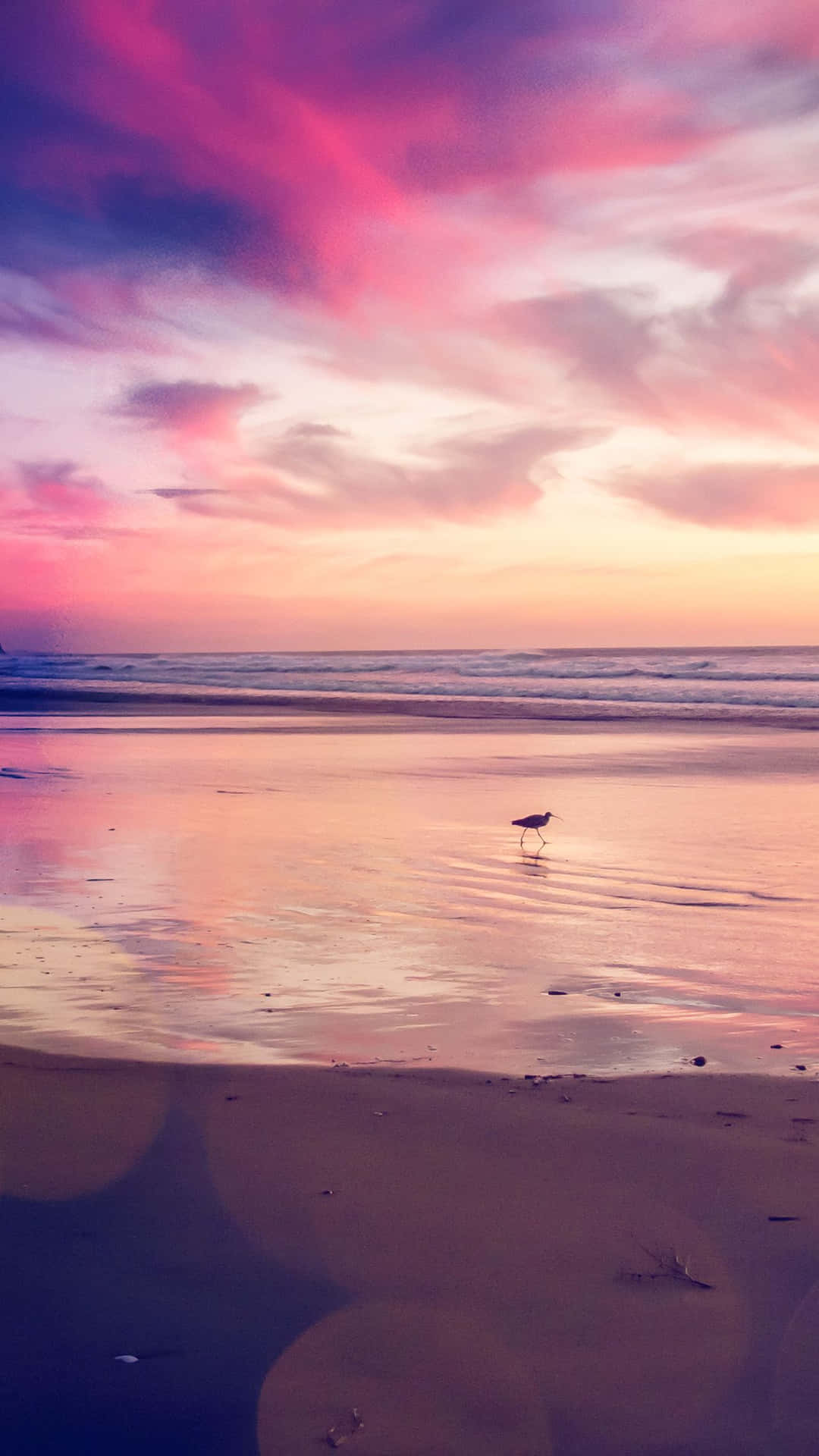 Relaxing Sunset At A Beach In Paradise Background