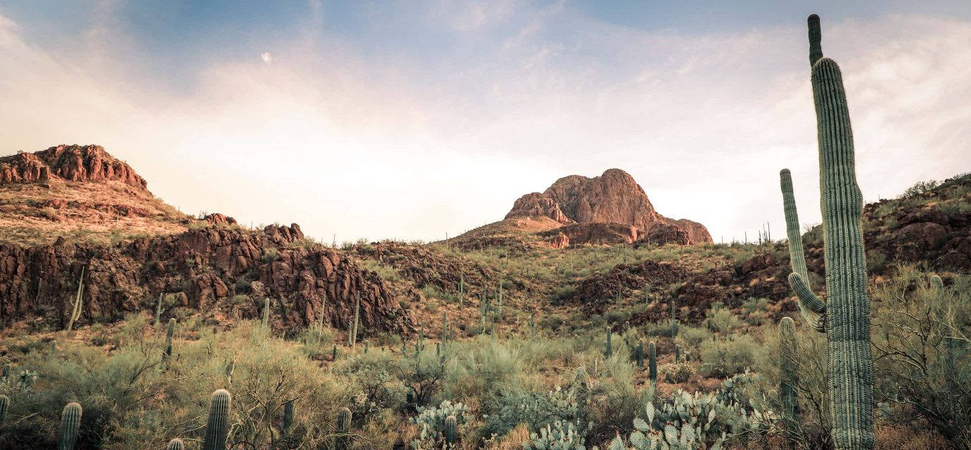 Relaxing Tucson Landscape View Background