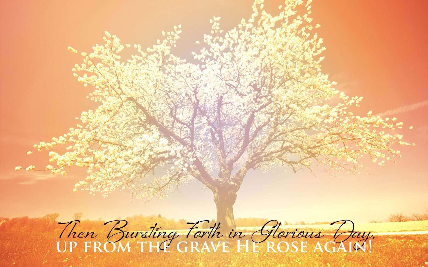 Religious Easter Bible Verse Background