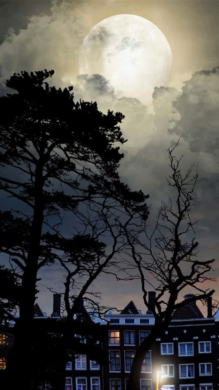 Relish The Beauty Of The Night Sky On A Moon Night. Background