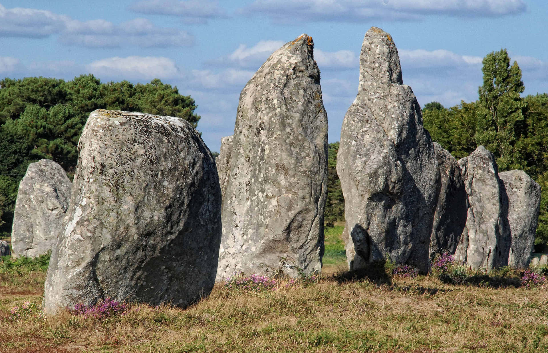 Remarkable Carnac Stones In France Background