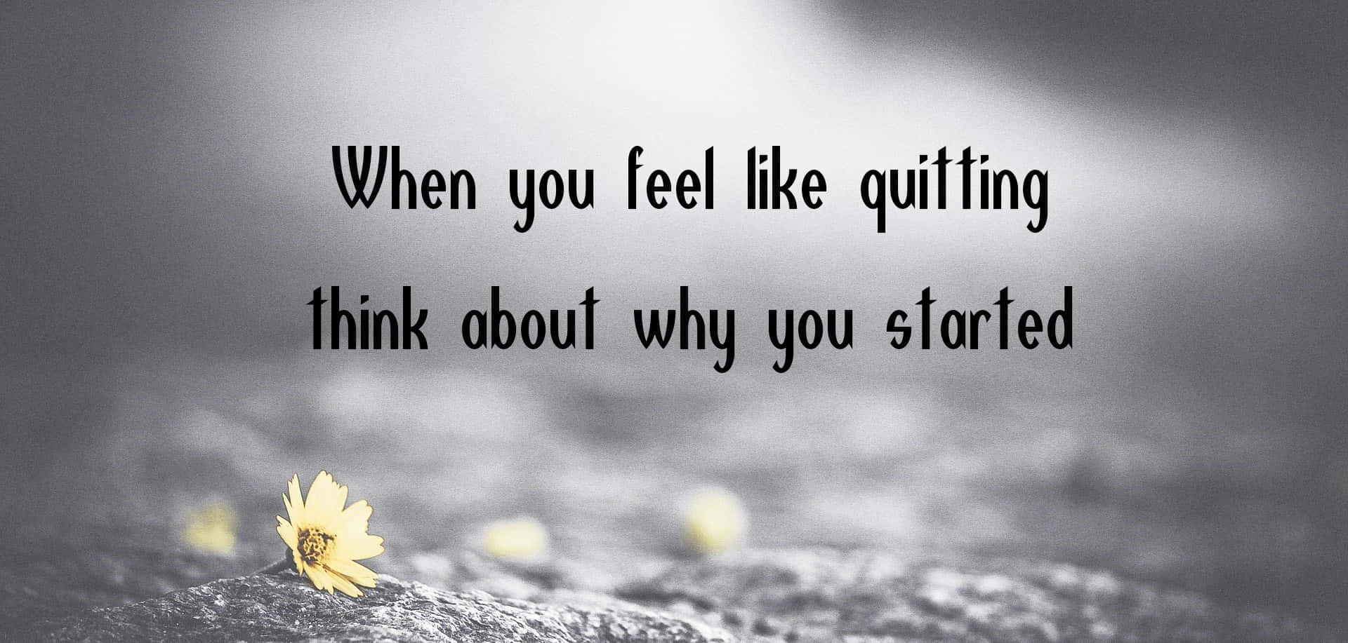 Remembering The Purpose Of Being Persistent Background