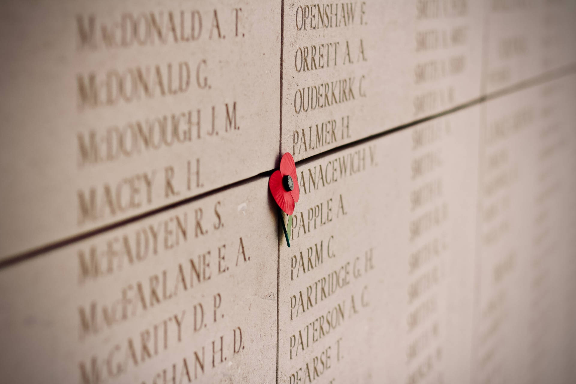 Remembrance Day Names Background
