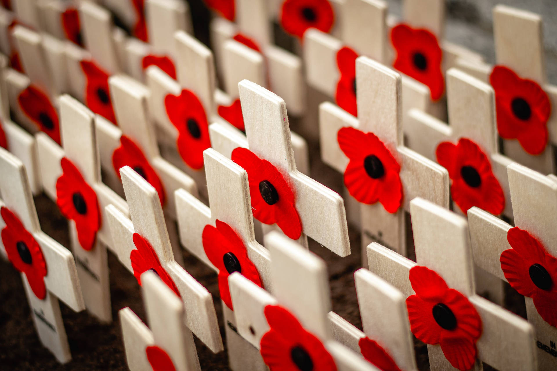 Remembrance Day Wooden Crosses Background