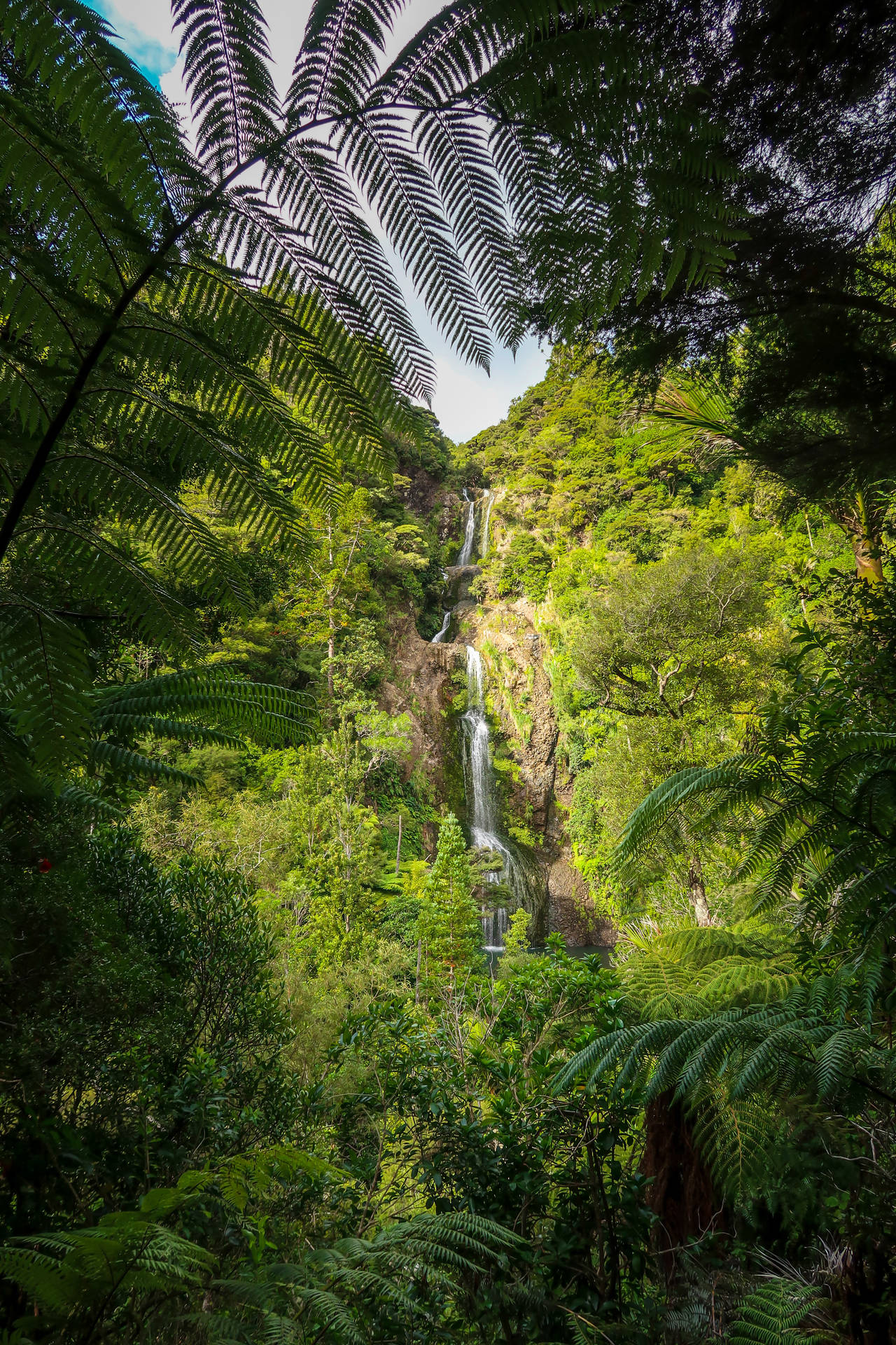 Remote Waterfalls Jungle Background