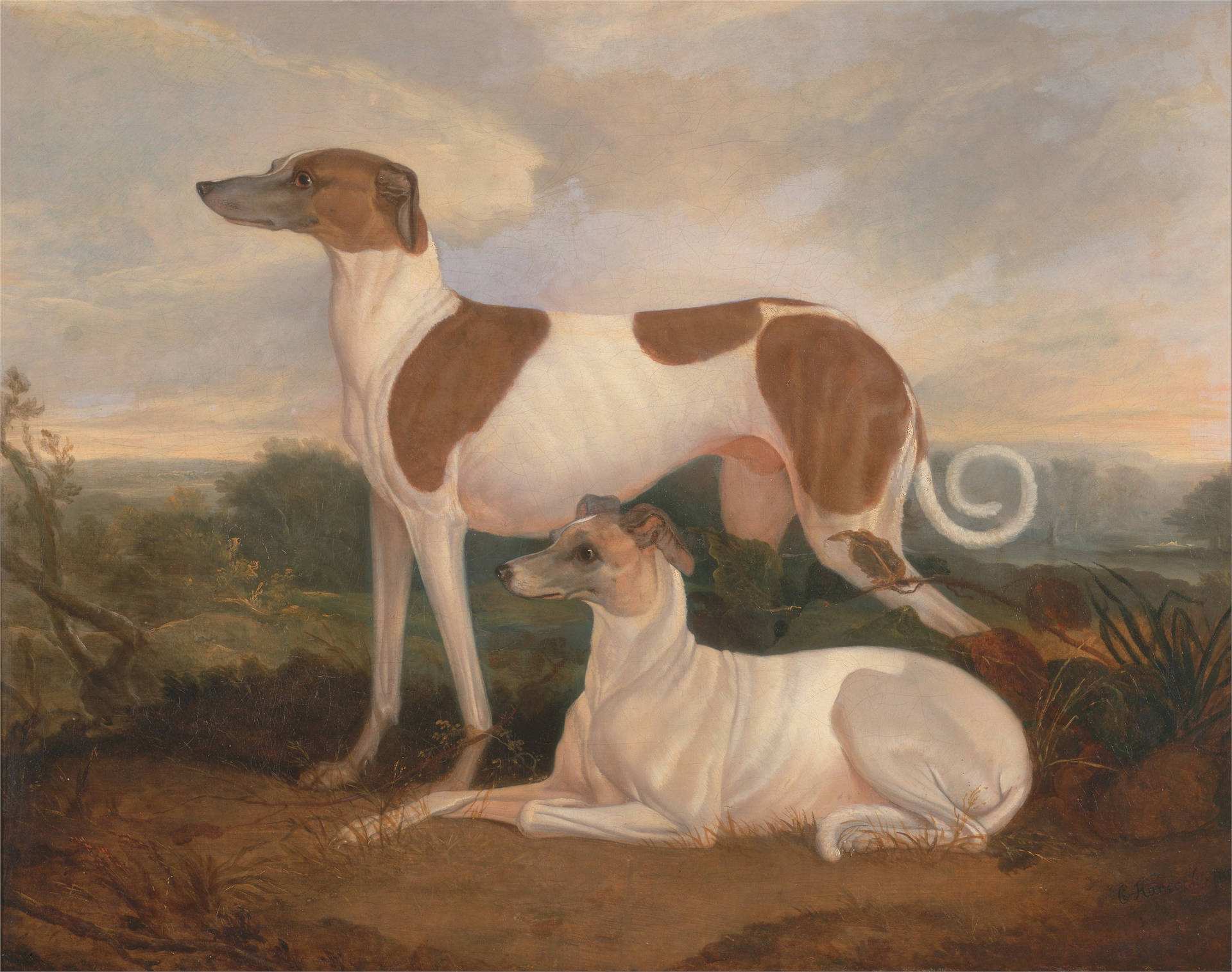 Renaissance Greyhounds Painting Background