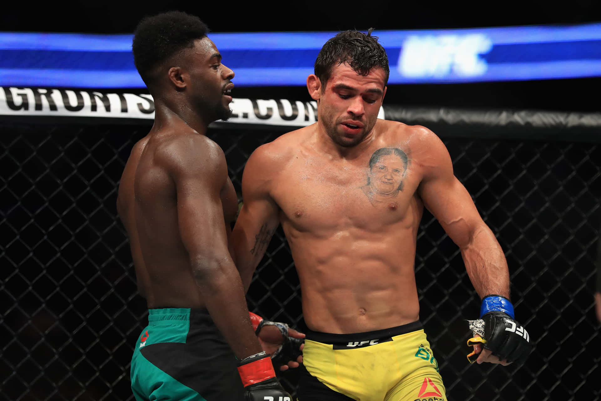 Renan Barão Against Aljamain Sterling Background