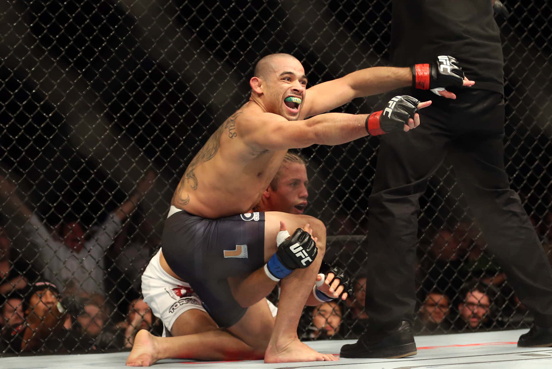 Renan Barão Against Dillashaw Ufc 173 Background