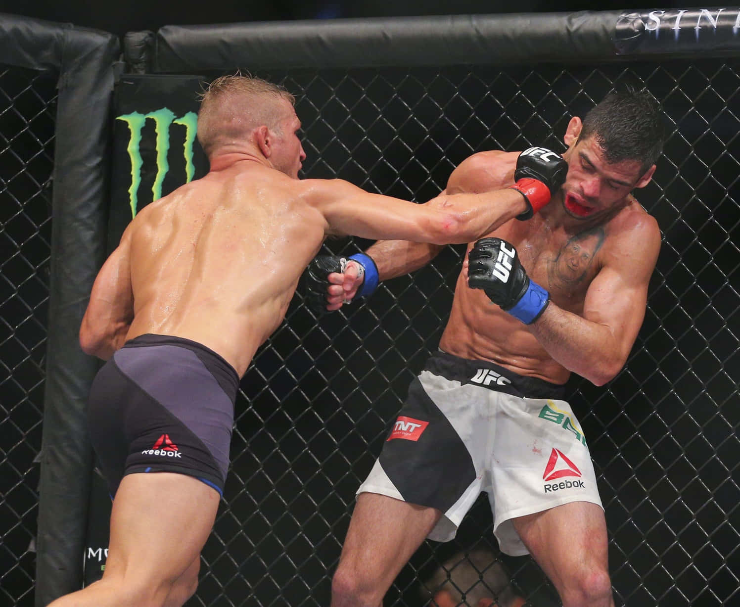 Renan Barão Against Tj Dillashaw Background