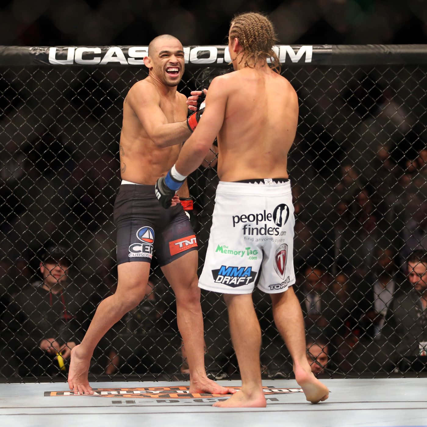Renan Barão And Faber On Octagon Ring Background