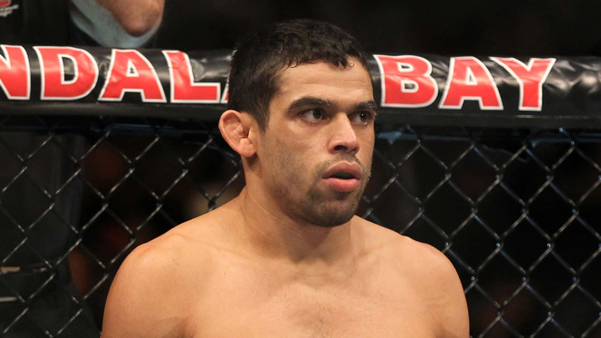 Renan Barão, Brazilian Mixed Martial Artist, Dominating The Octagon Ring Background