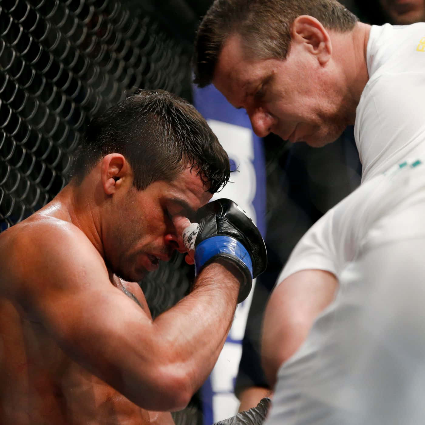 Renan Barão Defeat From Dillashaw Background