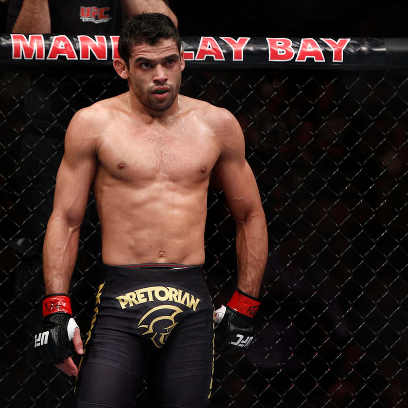 Renan Barão During Ufc 143 Event Background
