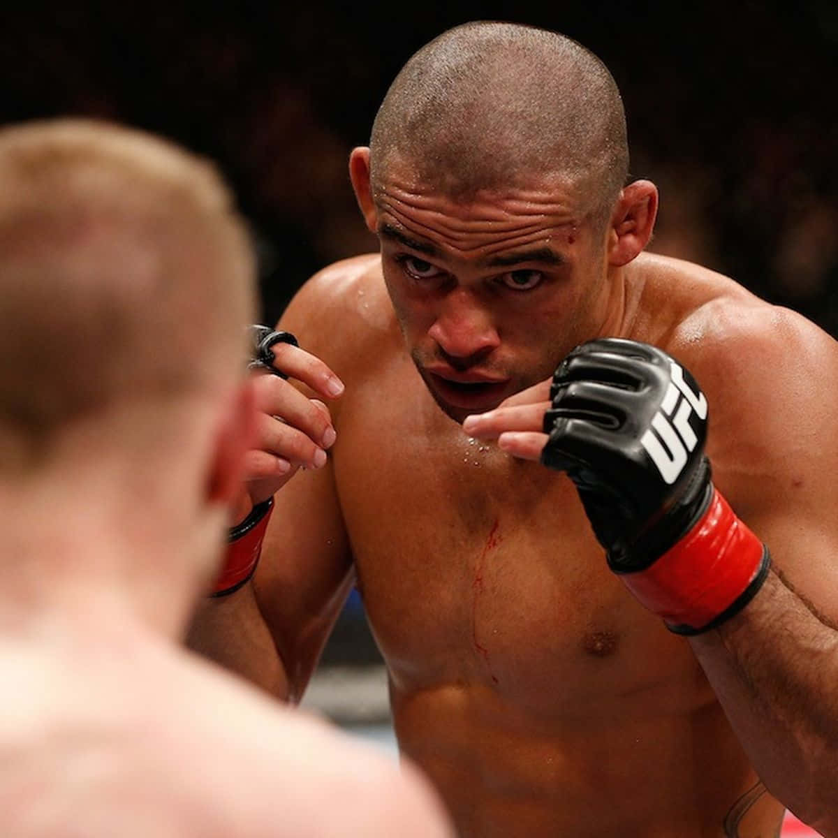 Renan Barão In Bantamweight Championship