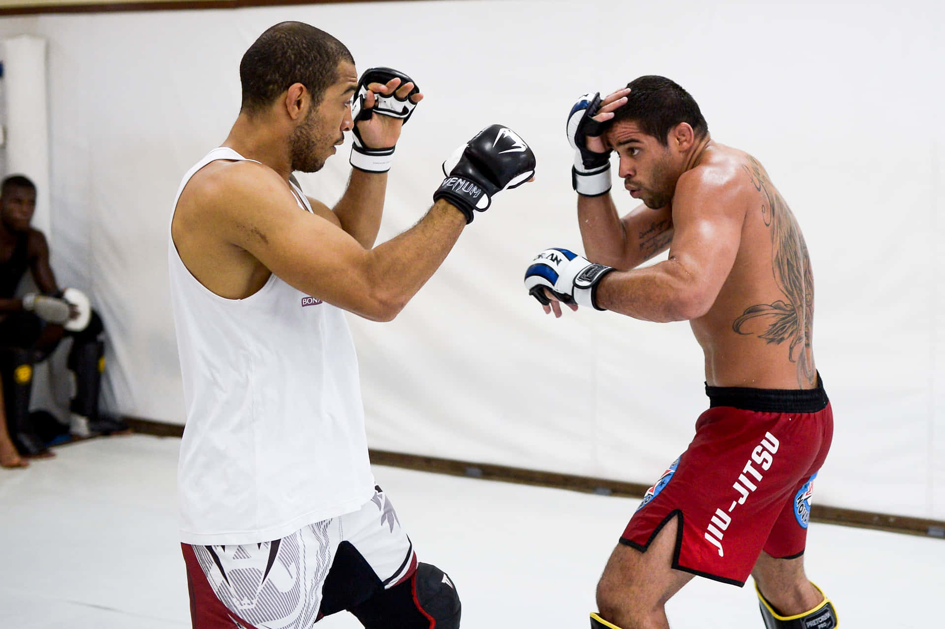 Renan Barão Sparring With José Aldo Background
