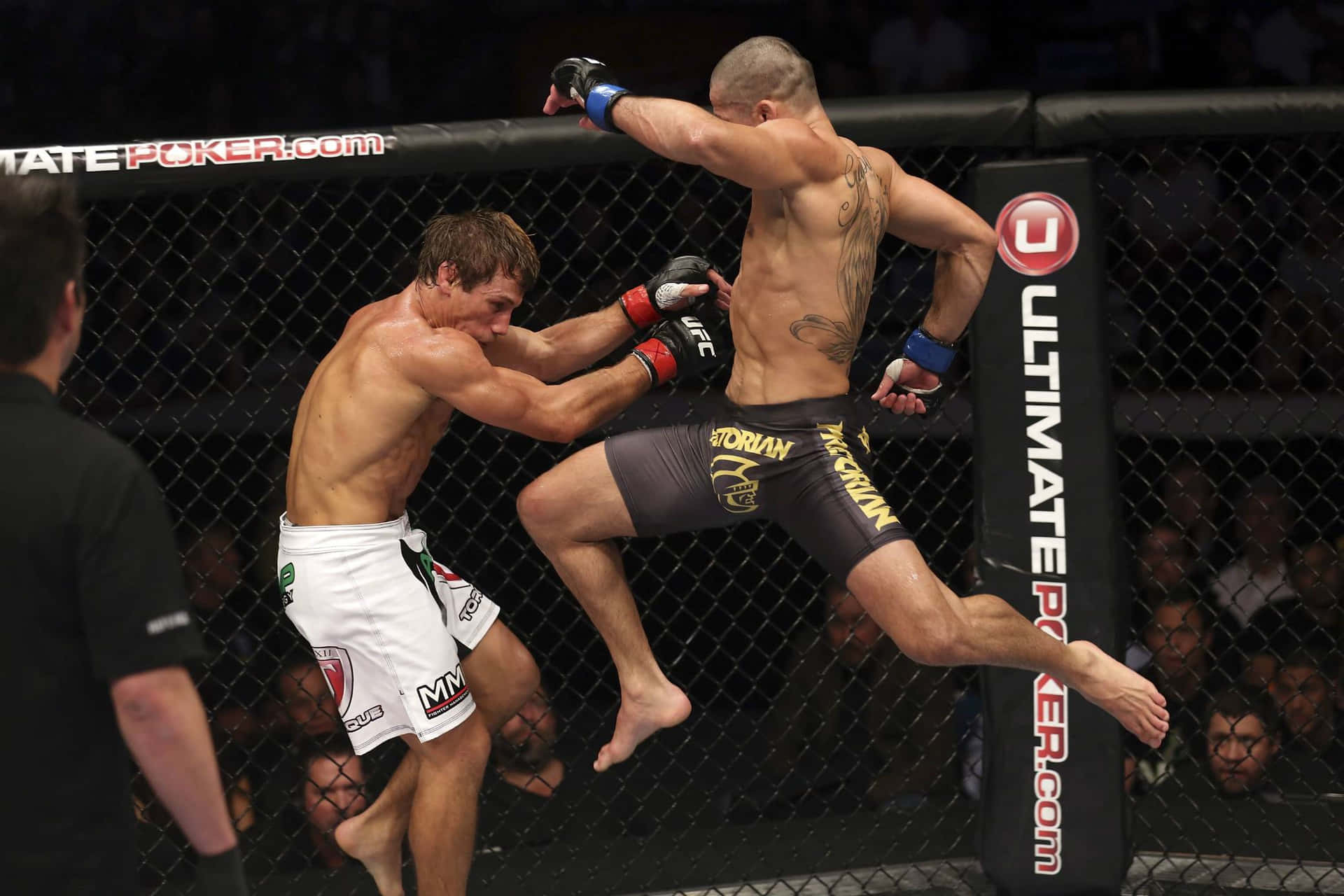 Renan Barão Ultimate Fighting Championship Match Background