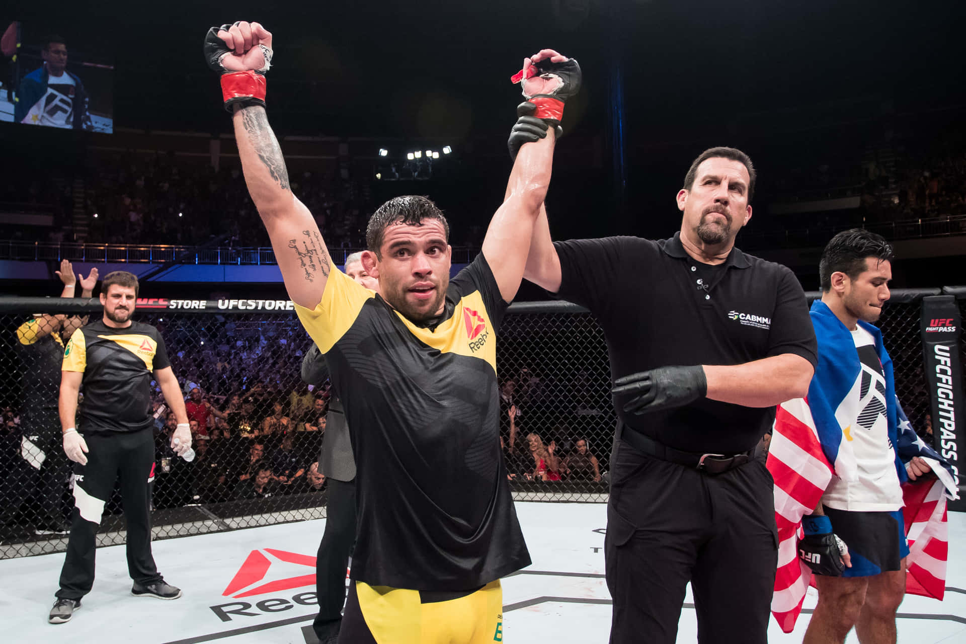 Renan Barão Wins Against Phillippe Nover Background