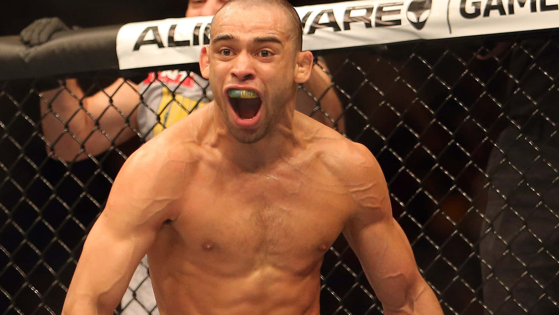 Renan Barão Wins During Ufc 173 Event Background