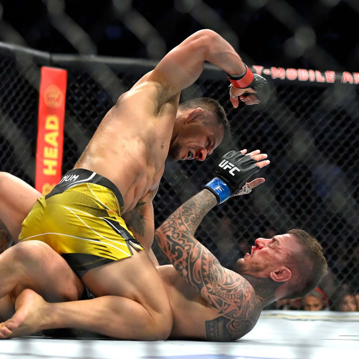 Renato Moicano Getting Pinned Background