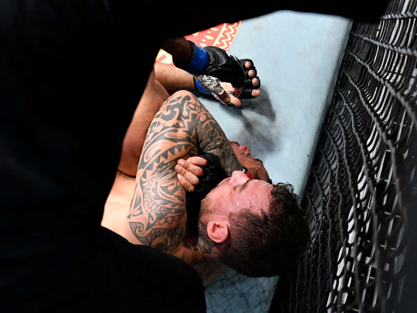 Renato Moicano Pinning Down Background