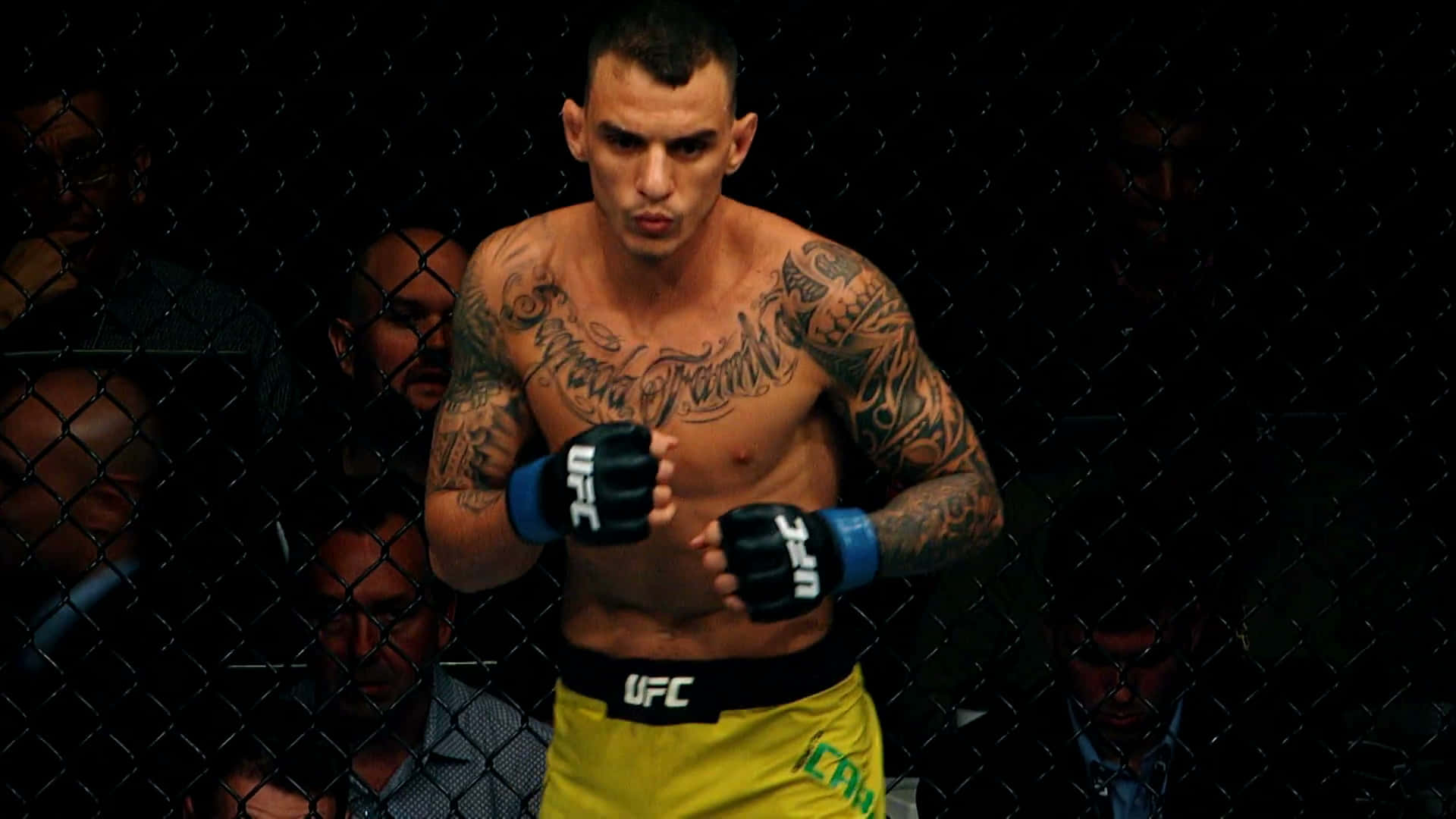 Renato Moicano Ready To Fight Background