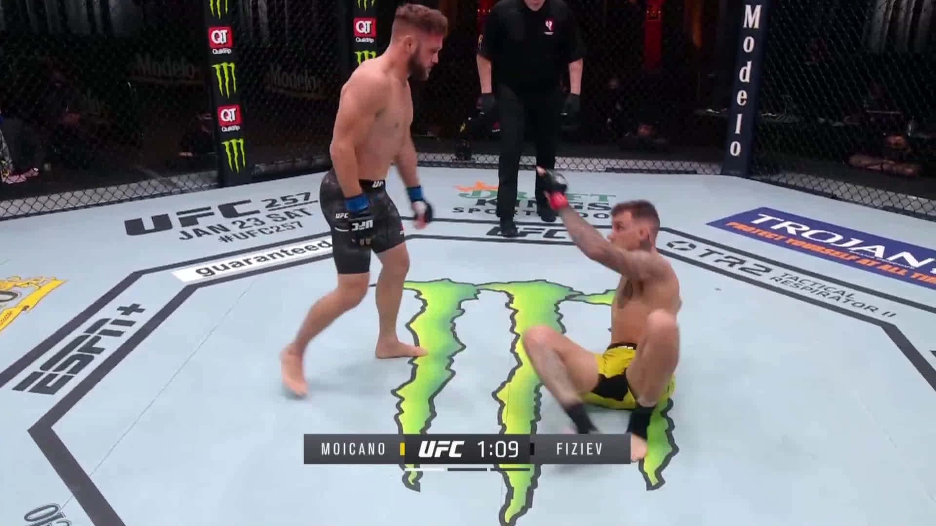 Renato Moicano Standing Up