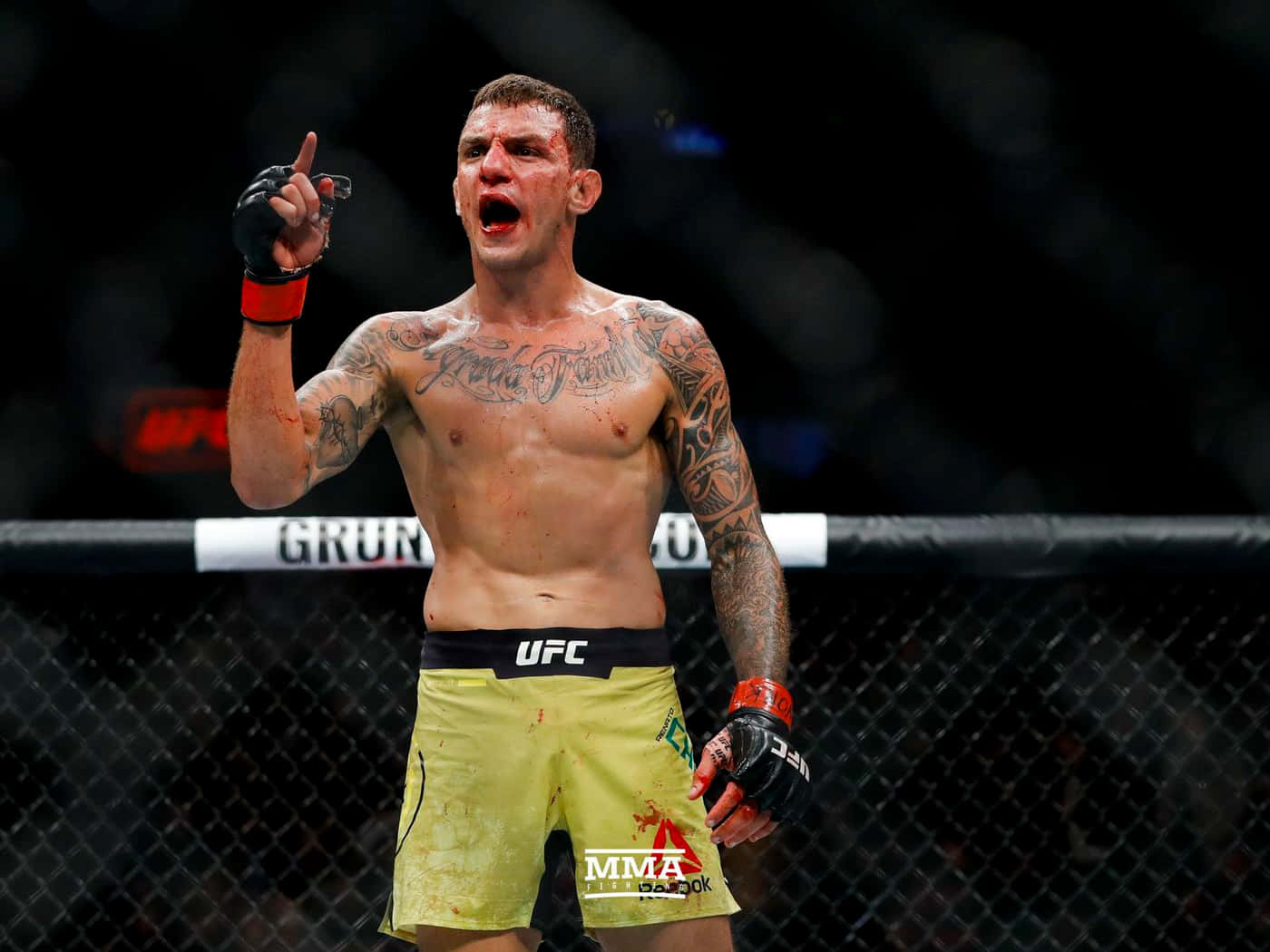 Renato Moicano Victorious In The Octagon
