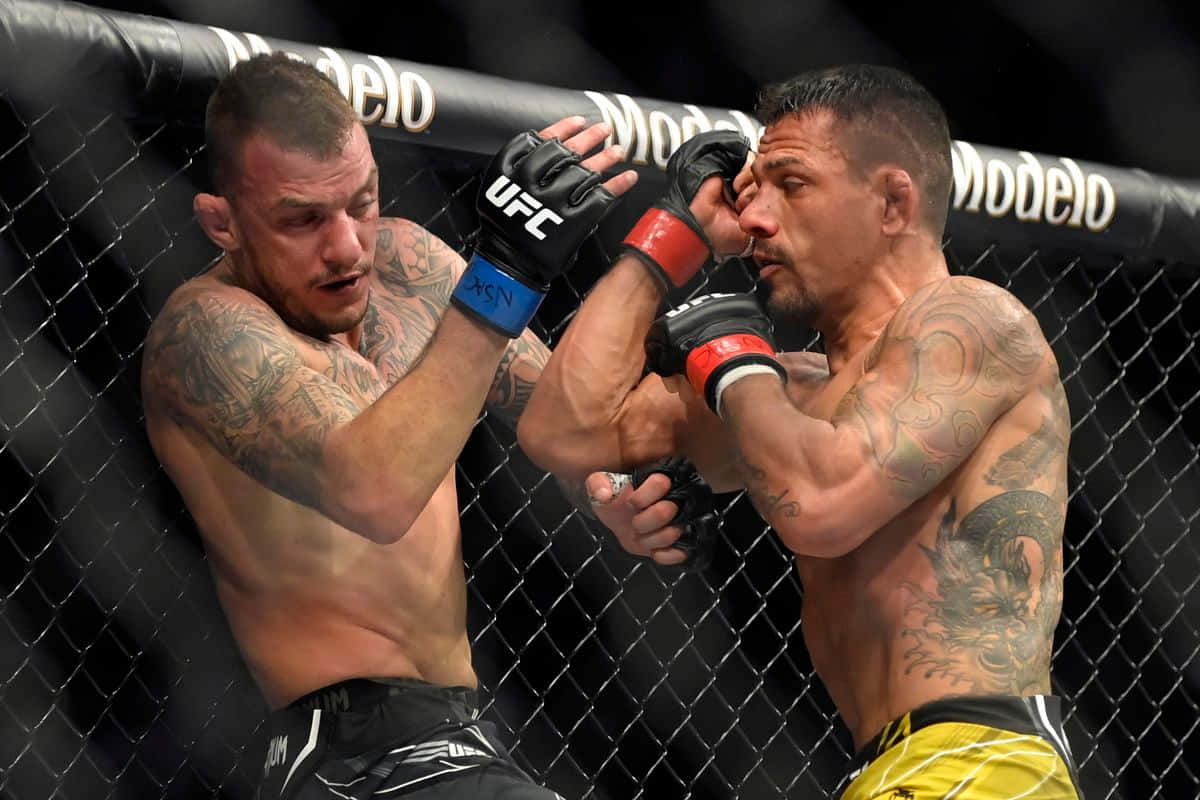 Renato Moicano Vs Rafael Dos Anjos Background