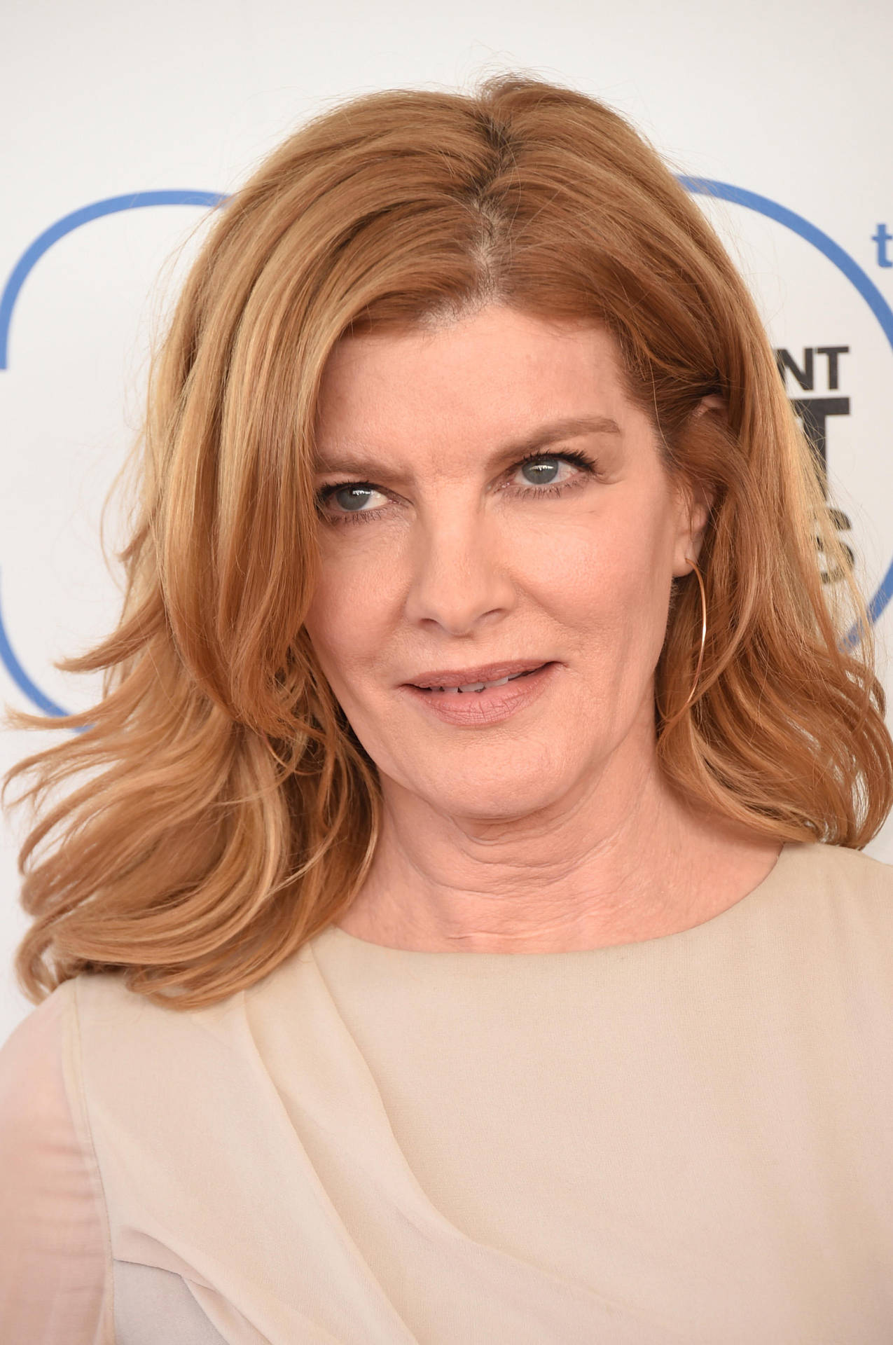 Rene Russo At 2015 Film Independent Spirit Awards Background