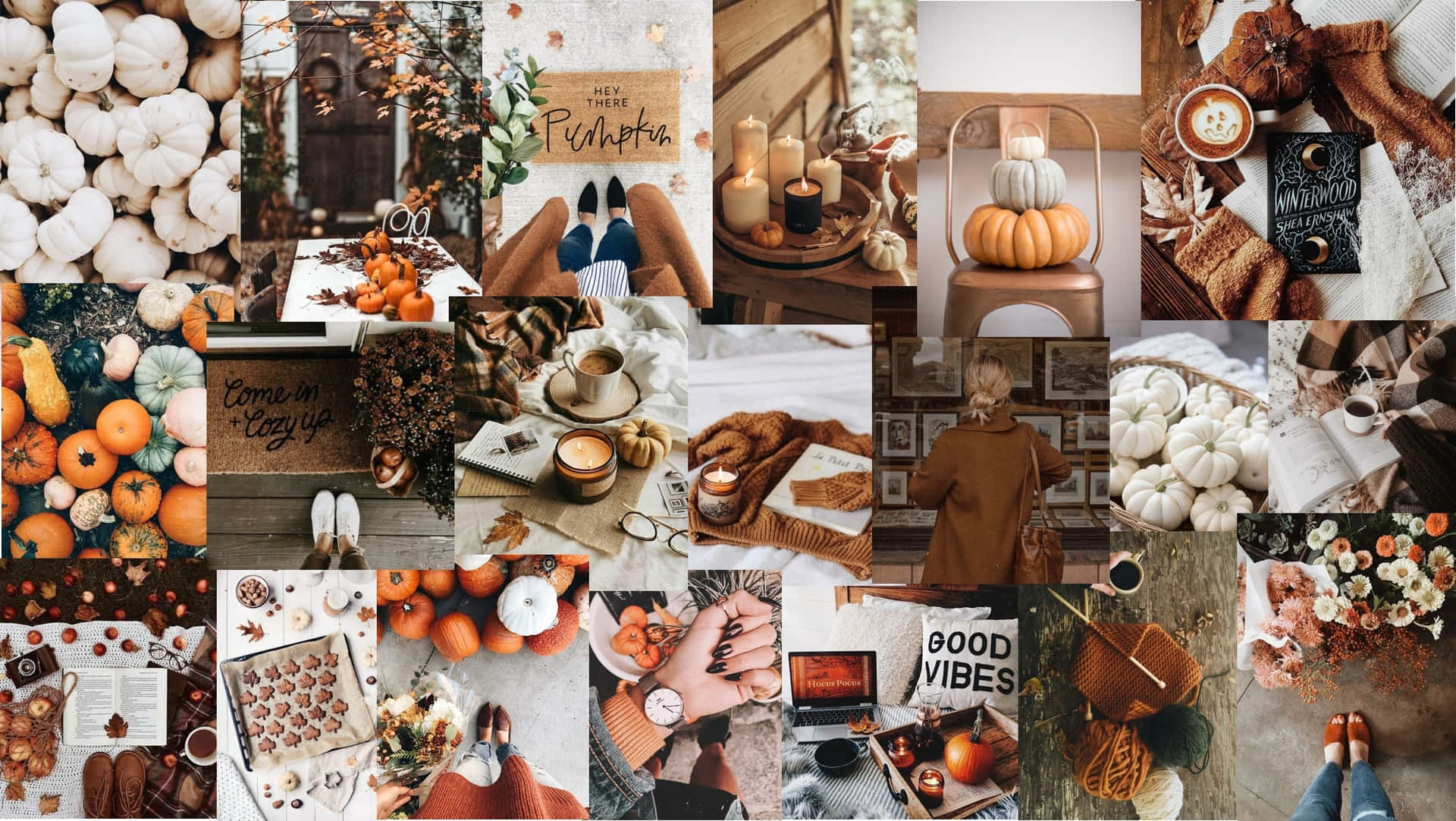 Representing Fall In All Its Glorious Colors Background